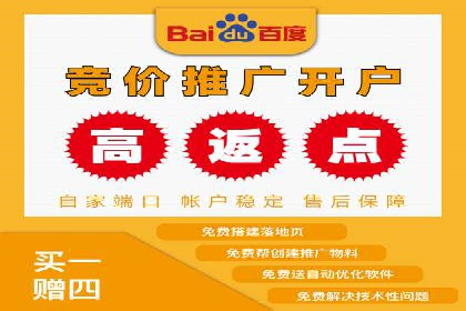 百度广告推广策略及成功案例解析